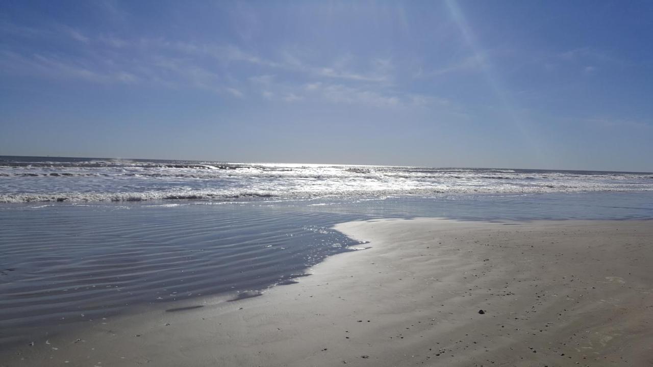 Private Beach -- Away From The Crowds - Ocean Views -Short Drive To Moody Gardens, Schlitter Bahn, Pleasure Pier غالفيستون، تكساس المظهر الخارجي الصورة